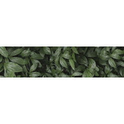 Фартук для кухни «Ботанический сад» Фартук для кухни «Ботанический сад»